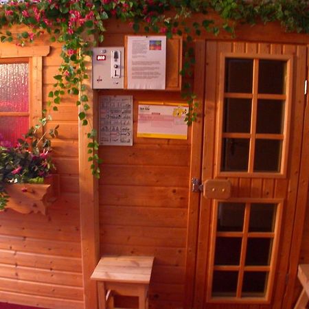 Hotel Muehlenberg Bad Sachsa Zewnętrze zdjęcie