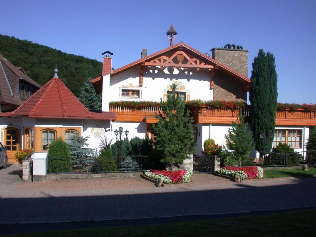 Hotel Muehlenberg Bad Sachsa Zewnętrze zdjęcie